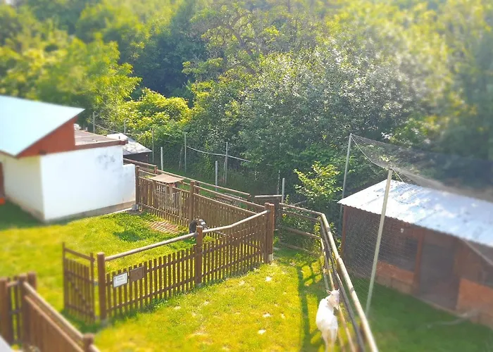 Na Statku * Náměšť nad Oslavou
